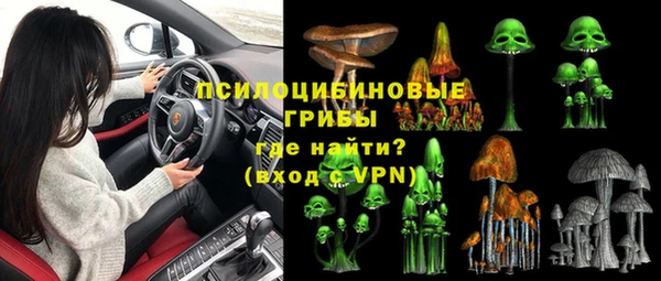 PSILOCYBIN Волоколамск